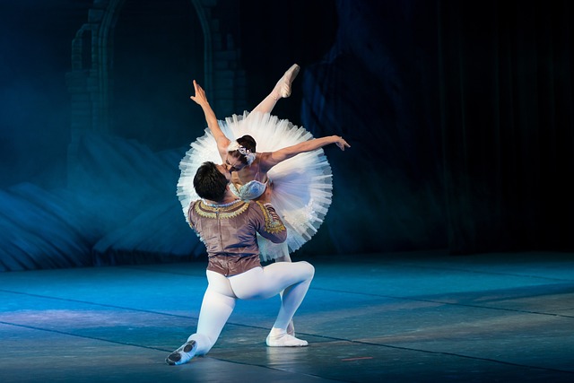 Comprendre l'histoire du ballet Le Lac des Cygnes.